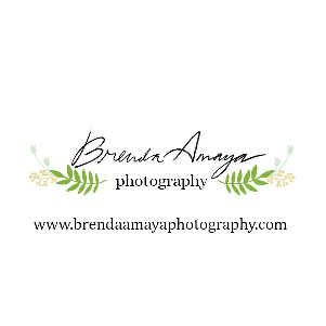 Brenda Amaya Photography | Big City Moms